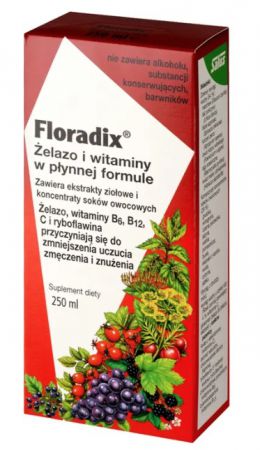 Floradix żelazo i witaminy 250 ml